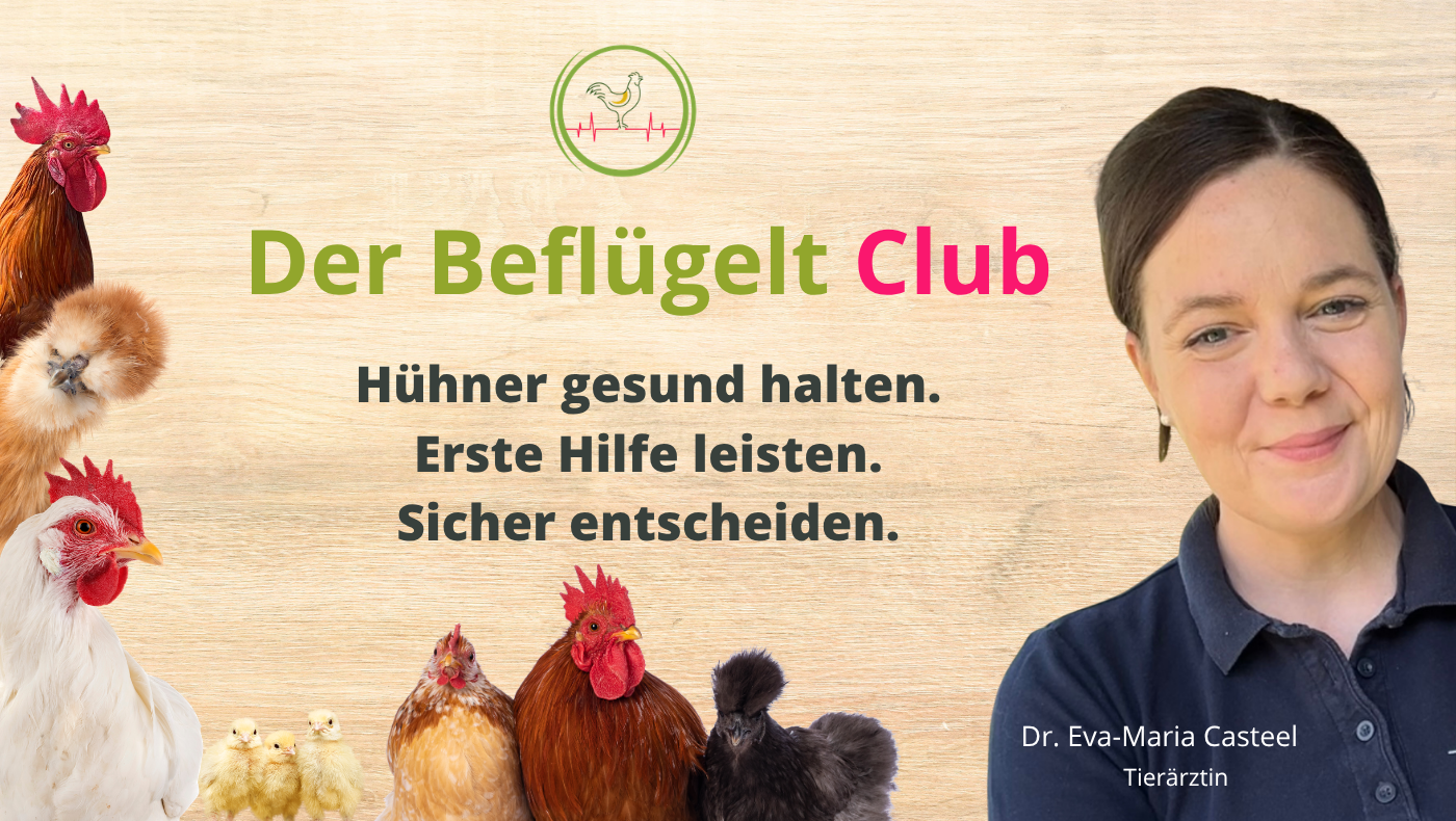 Der Beflügelt Club